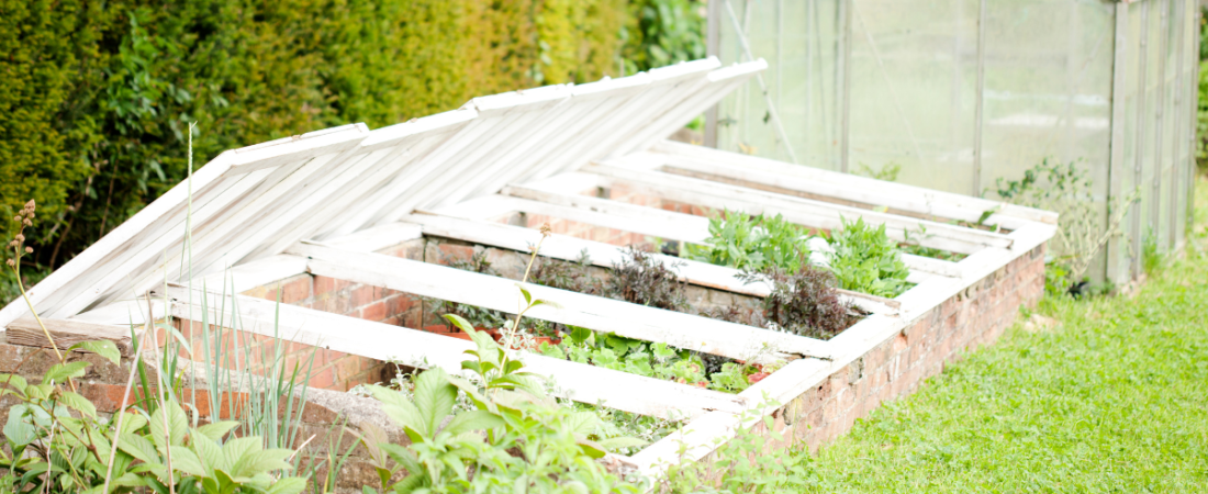 How to Use a Cold Frame for Early Winter Planting