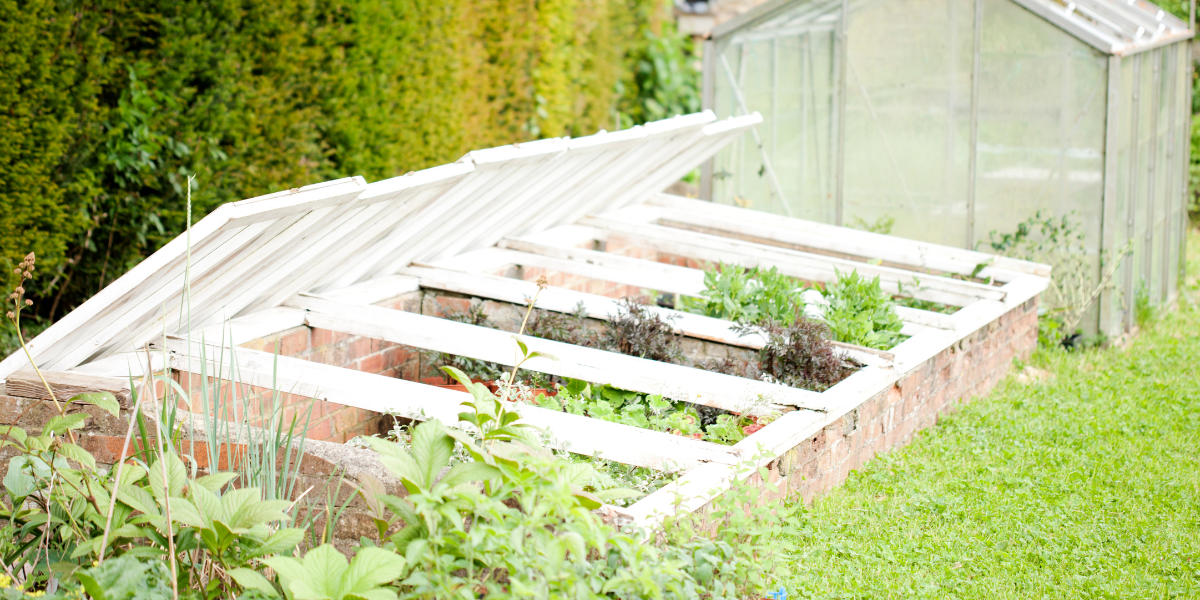 How to Use a Cold Frame for Early Winter Planting