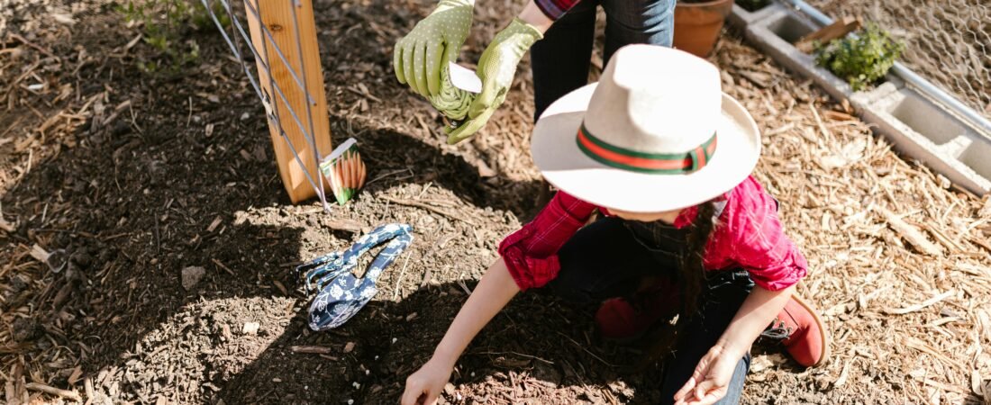 Winter Sowing: How to Start Seeds Outside in Freezing Temperatures