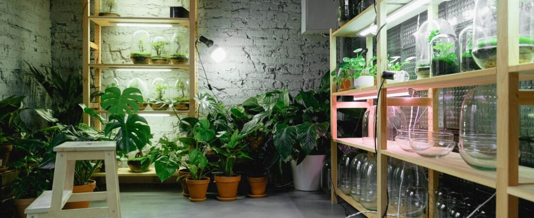 How to Set Up an Indoor Grow Light System for Healthy Seedlings