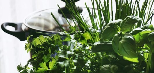 The Best Herbs to Start Indoors Now for an Early Spring Herb Garden